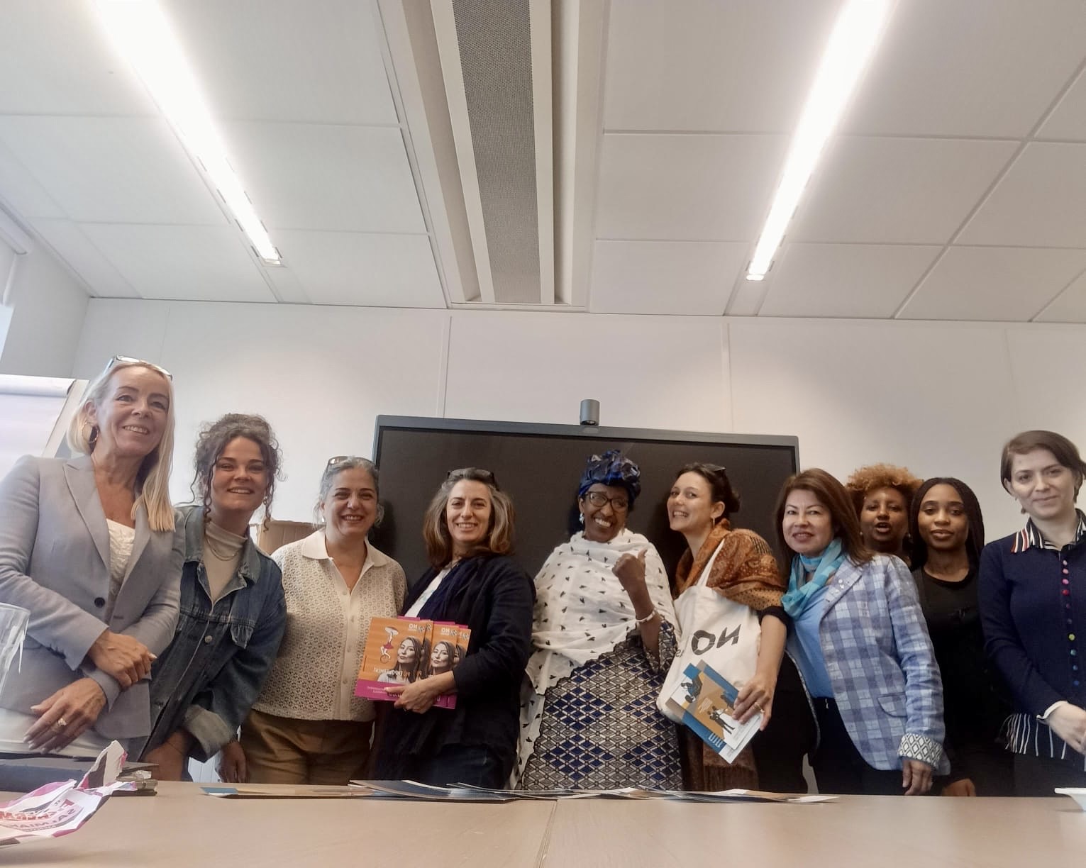 Scopri di più sull'articolo Rapporto Grevio sull’applicazione della Carta di Istanbul in Italia